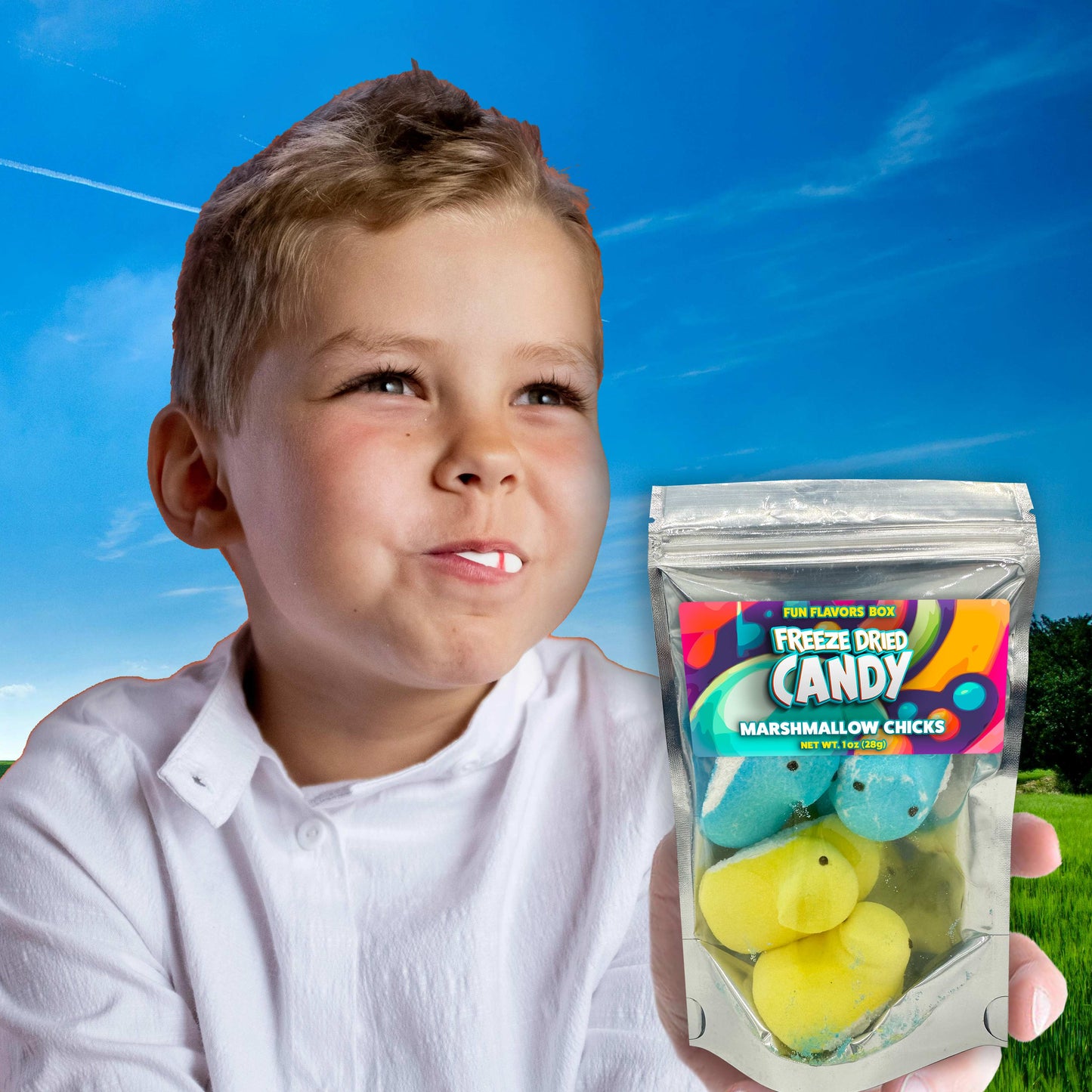 Freeze Dried Candy Marshmallow Chicks Unique Exotic Crunchy Easter Treats 1 oz